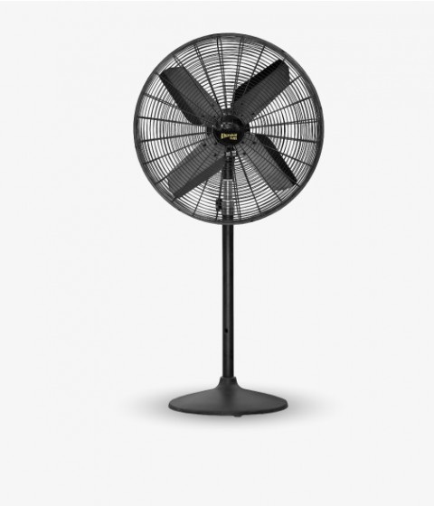 Khurshid Fans - Official Website